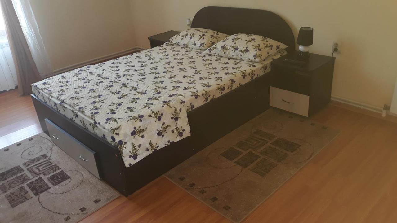 Casa Ovi Si Simo Hotell Haţeg Exteriör bild