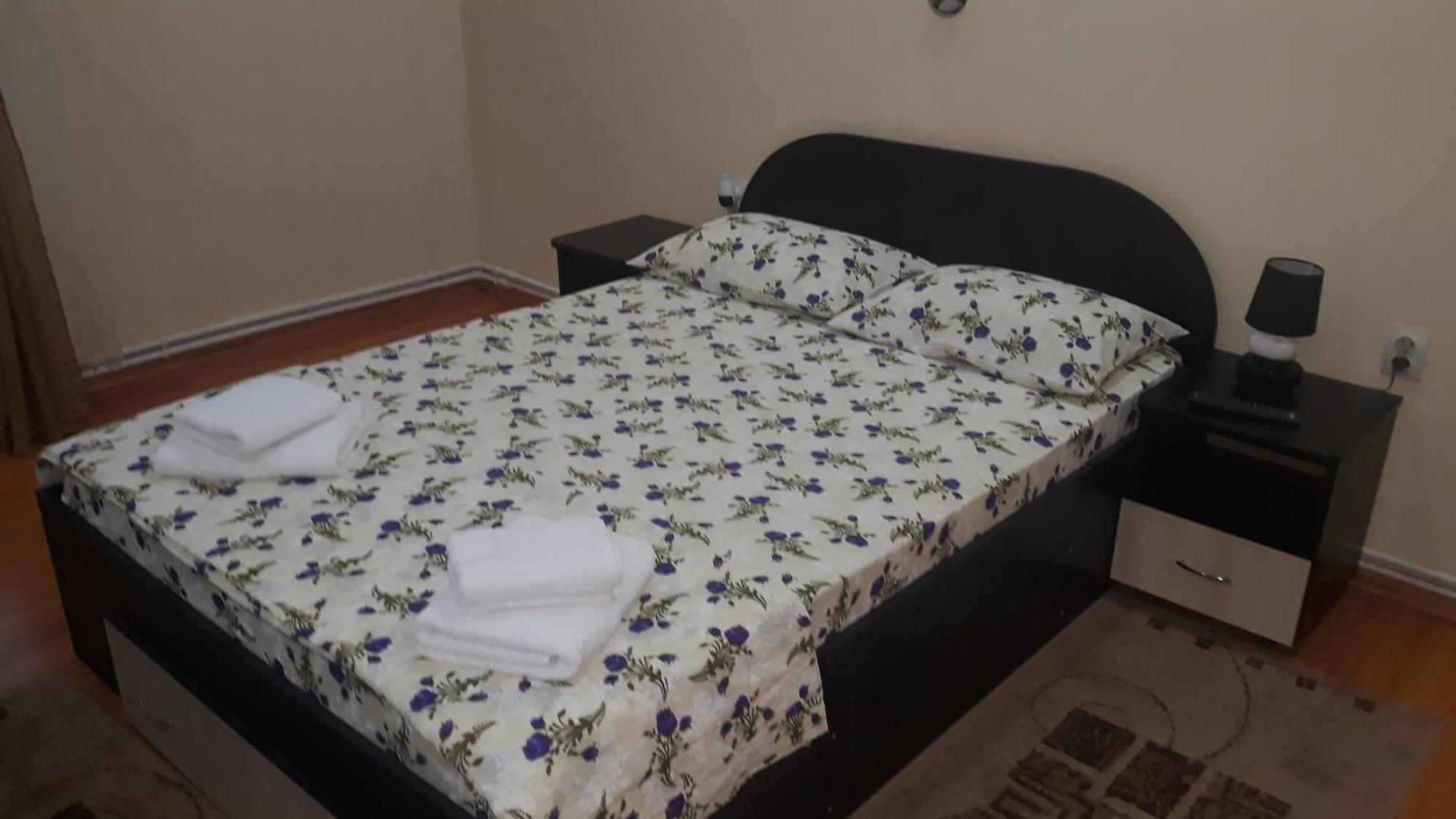 Casa Ovi Si Simo Hotell Haţeg Rum bild