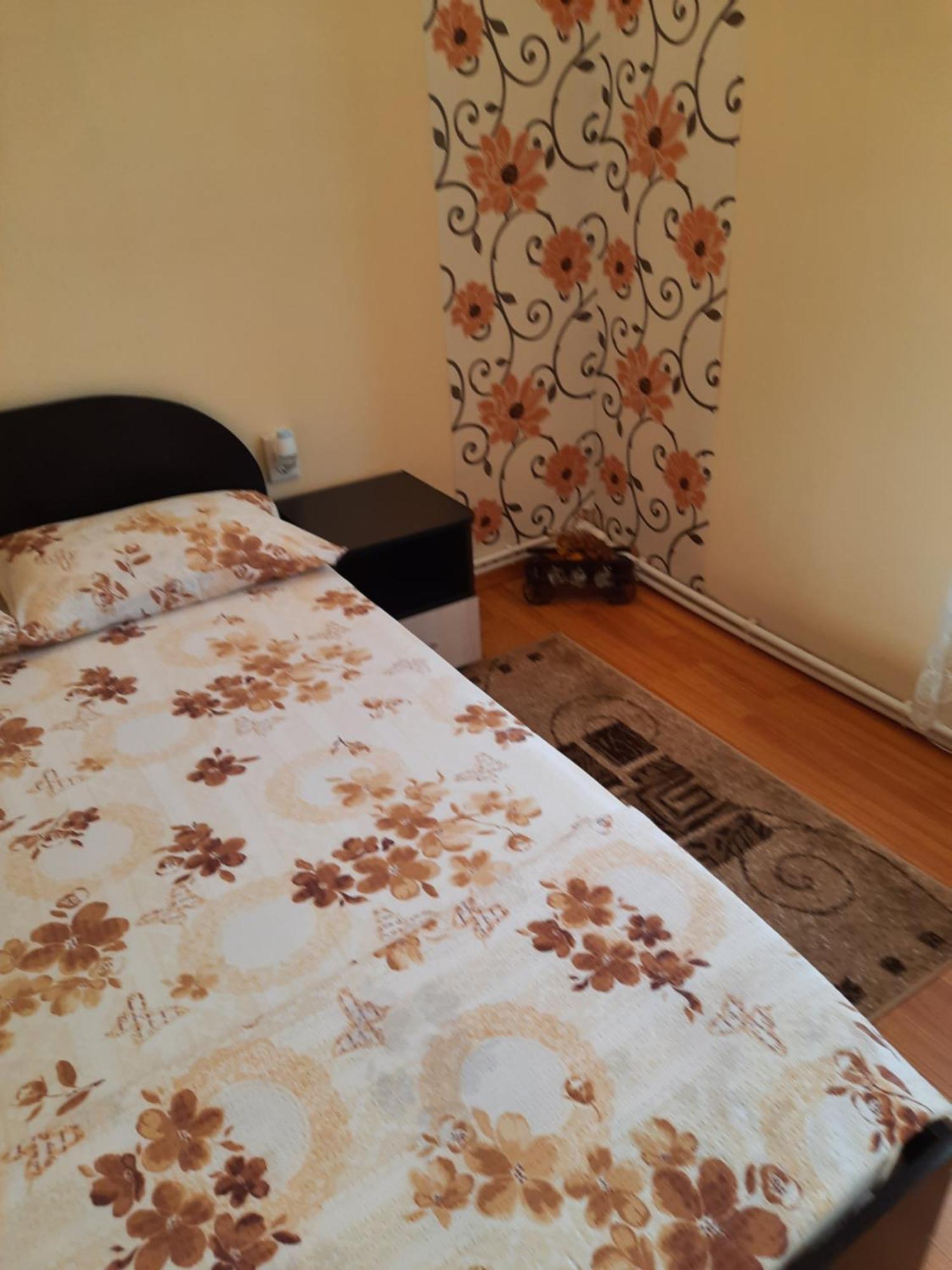 Casa Ovi Si Simo Hotell Haţeg Rum bild