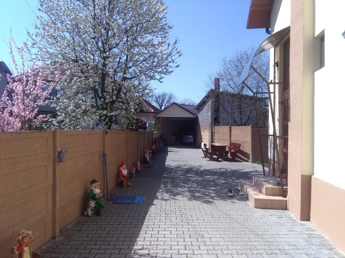 Casa Ovi Si Simo Hotell Haţeg Exteriör bild