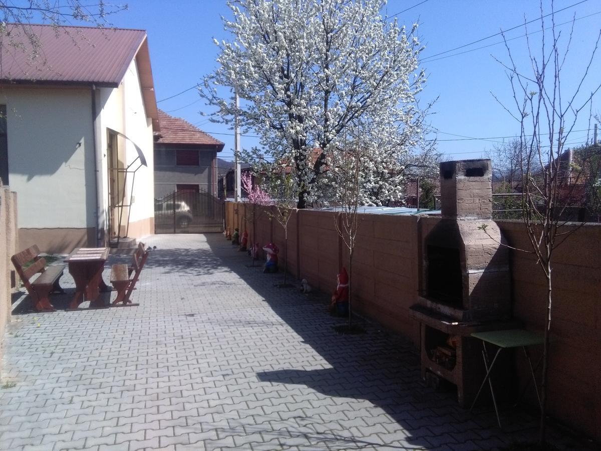 Casa Ovi Si Simo Hotell Haţeg Exteriör bild