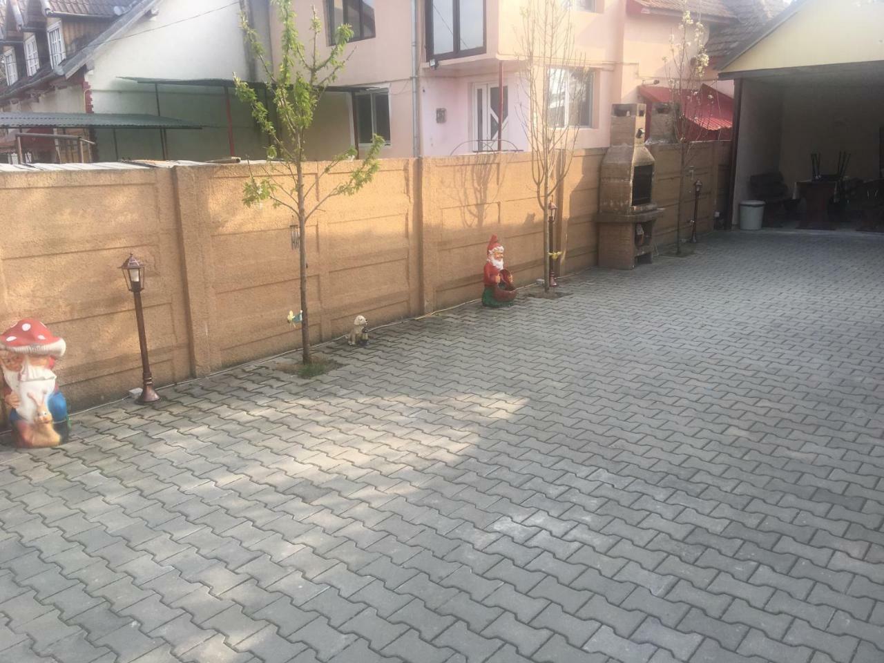 Casa Ovi Si Simo Hotell Haţeg Exteriör bild